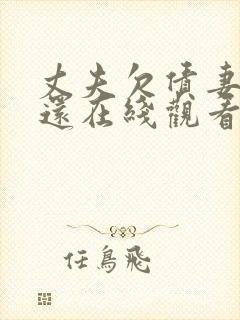 丈夫欠债妻子偿还在线观看