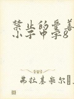 禁止的爱善良的小子中字8