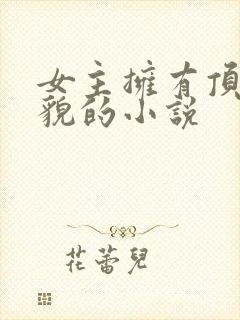 女主拥有顶级美貌的小说封面