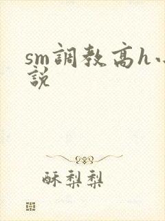 sm调教高h小说