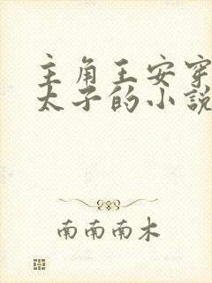 主角王安穿越成太子的小说