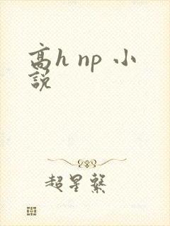 高h np 小说