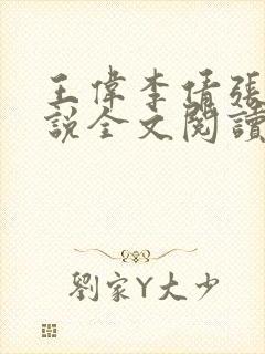 王伟李倩张浩小说全文阅读封面