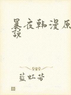 暴夜韩漫原著小说封面