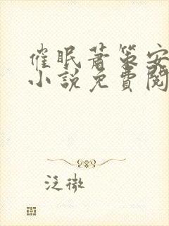 催眠萧策安恶堕小说免费阅读全文笔