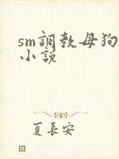 sm调教母狗奴小说