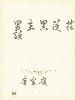 男主黑莲花的小说