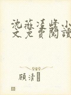 沈薇凌峰小说全文免费阅读最新章节