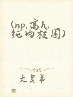 (np,高h,纯肉校园)