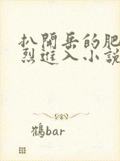 扒开岳的肥臀猛烈进入小说