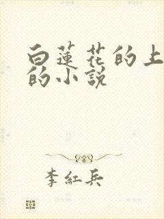 白莲花的上位史的小说
