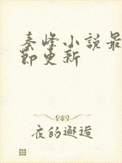 秦峰小说最新章节更新