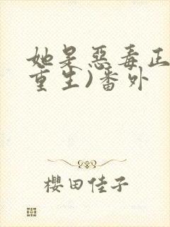 她是恶毒正妻(重生)番外