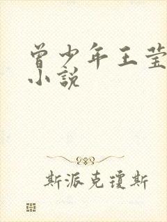 曾少年王莹同人小说