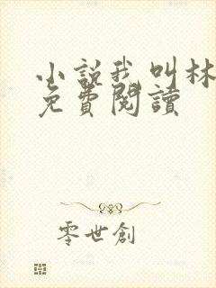 小说我叫林小喜免费阅读