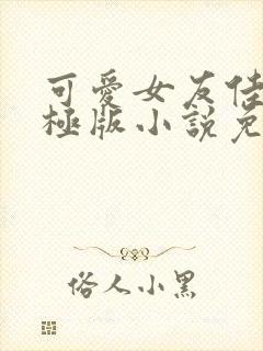 可爱女友佳怡终极版小说免费阅读最