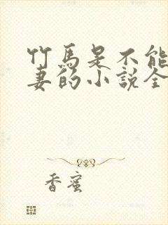 竹马是不能变成妻的小说全文阅读