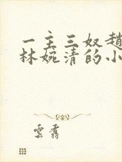 一主三奴赵佳和林婉清的小说