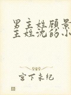 男主姓顾景琛女主姓沈的小说