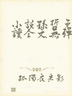 小说孙哲免费阅读全文无弹窗