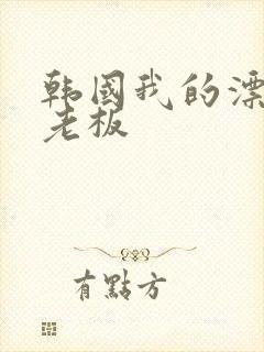 韩国我的漂亮女老板封面