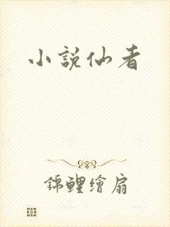 小说仙者封面