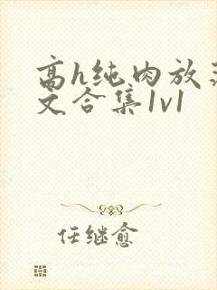 高h纯肉放荡h文合集1v1封面