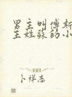 男主叫傅斯年女主姓苏的小说