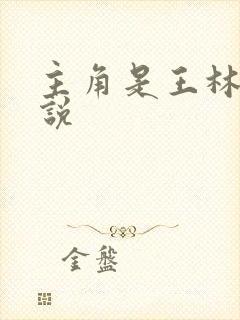 主角是王林的小说