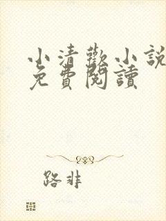 小清欢小说全集免费阅读