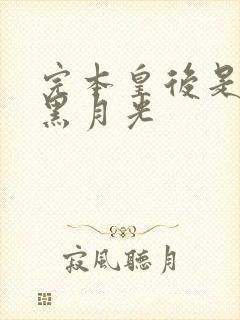 完本皇后是朕的黑月光