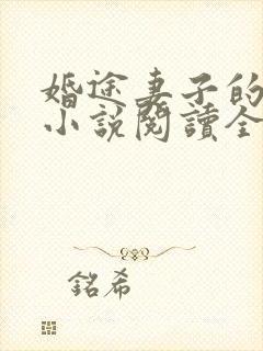 婚途妻子的秘密小说阅读全文