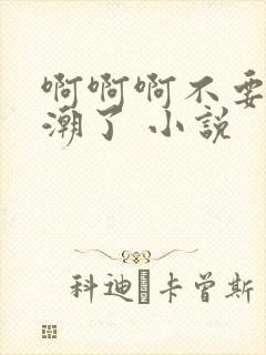 啊啊啊不要,高潮了 小说