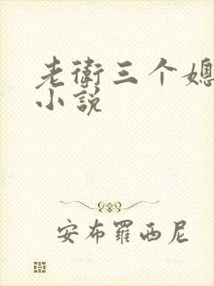老卫三个媳妇的小说