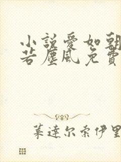 小说爱如朝露散若尘风免费阅读