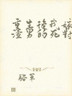 重生后我嫁给了渣男的死对头原著封面