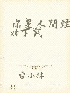 你是人间烟火txt下载封面