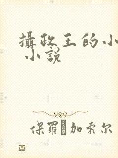 摄政王的小闲妻 小说