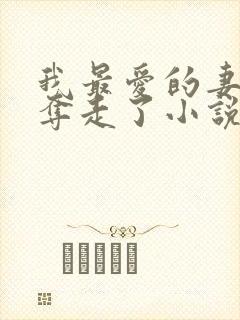 我最爱的妻子被夺走了小说