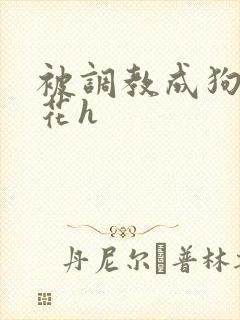 被调教成狗的校花h