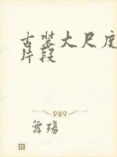 古装大尺度床戏片段