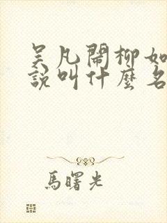 吴凡闹柳如烟小说叫什么名字封面