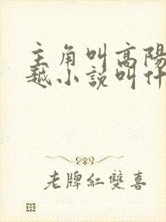 主角叫高阳的穿越小说叫什么