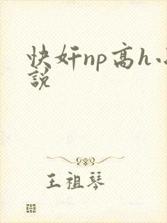 快奸np高h小说