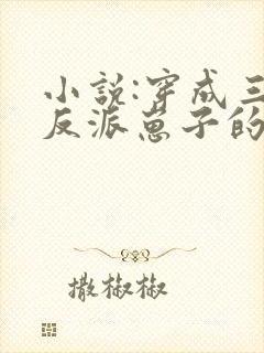 小说:穿成三个反派崽子的后娘怎么办封面