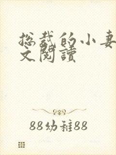 总裁的小妻子全文阅读