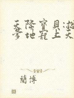 天降宝贝:总裁爹地宠上天