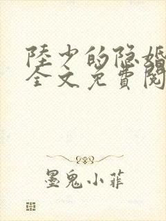 陆少的隐婚罪妻全文免费阅读小说封面