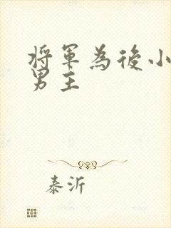 将军为后小说双男主