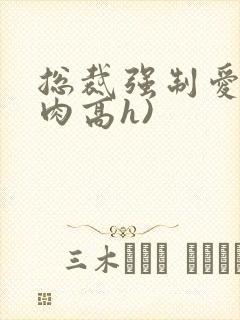 总裁强制爱(巨肉高h)